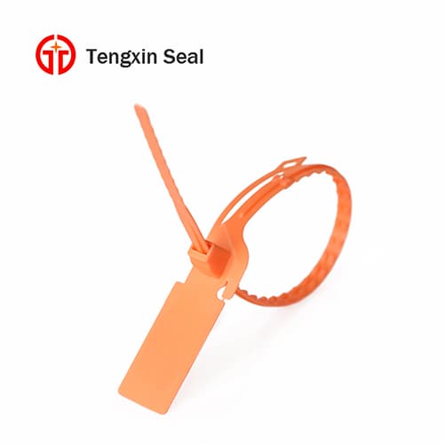 plastic cable tag fire extinguisher seal with logo